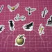The Chosen One Vinyl Stickers Pack: Magical Castle, Golden Winged Ball, Glasses, Wand